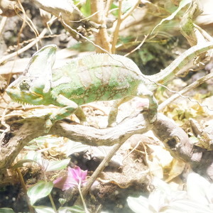 Fundraising Page: Max Sandstrom